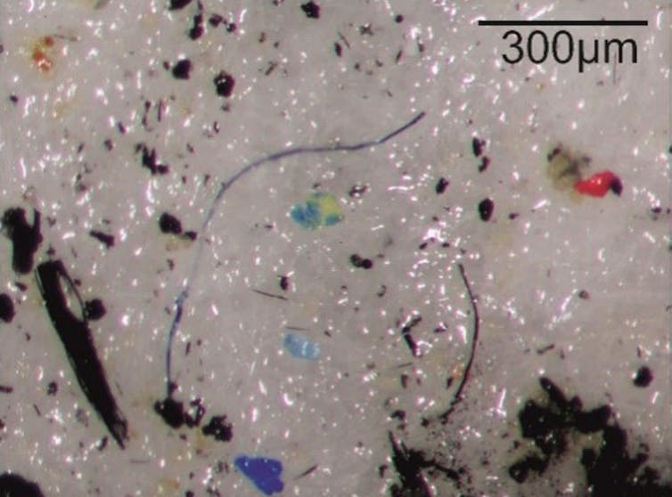 Close-up view of microplastic particles