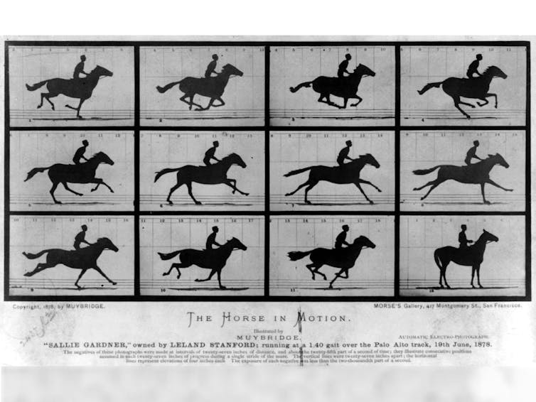 Eadweard Muybridge utilizó la fotografía ‘stop-motion’ de alta velocidad para captar el movimiento de un caballo. Las fotos demuestran que el caballo tiene las cuatro patas en el aire y contraídas en algunos momentos de la zancada.Wikimedia commons, CC BY