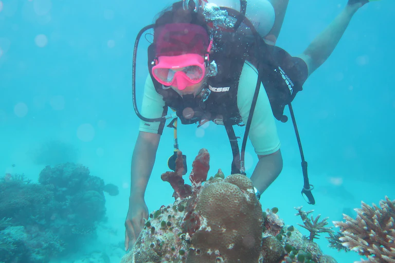 A diver wearing a face mask and oxygen tank reaches out to a sponge under water.