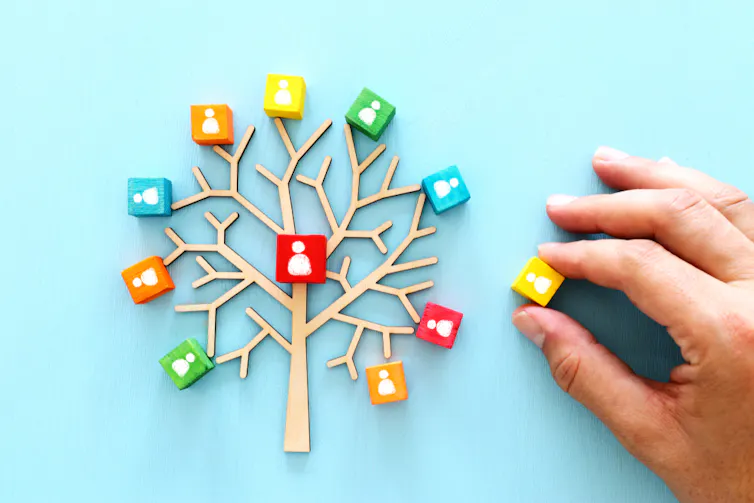 Arbre représentant un réseau de relations