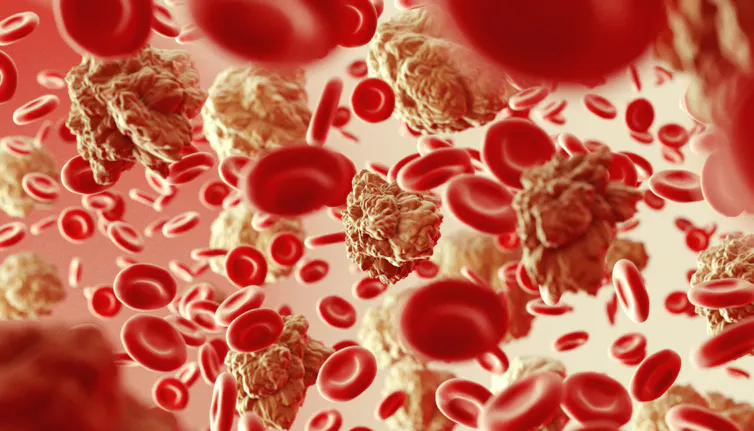 viruses in the blood
