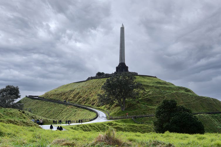 One tree hill in New Zealand.