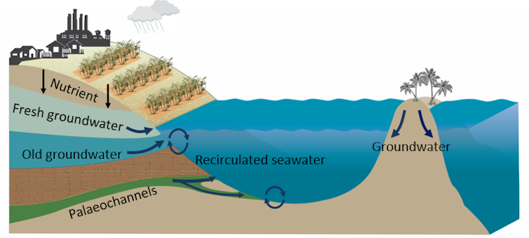 A diagram listing nutrient sources to the reef