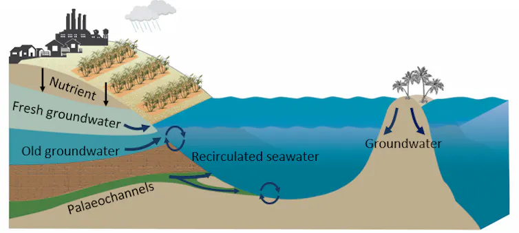 A diagram listing nutrient sources to the reef