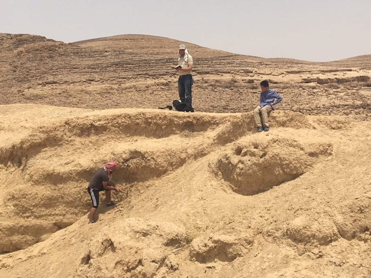 We collected samples for luminescence dating from the Wadi Hasa area in West Jordan.