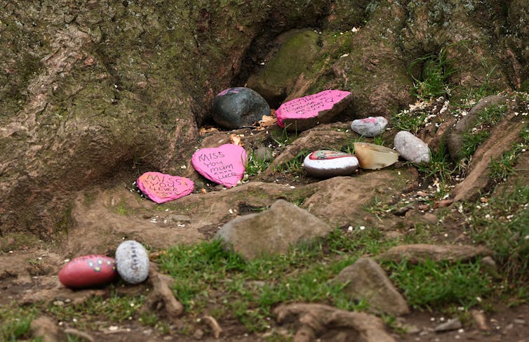 sycamore gap tree death mementoes left by public