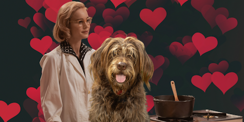 Friday essay: Lessons in Chemistry – the real Prince Charming in this 'bad romance' is a good dog