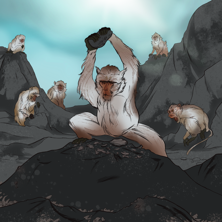 Artwork by Keegan Currier illustrates how long-tailed macaques use stone tools to eat oysters. A single macaque holds a rock aloft while others look on.