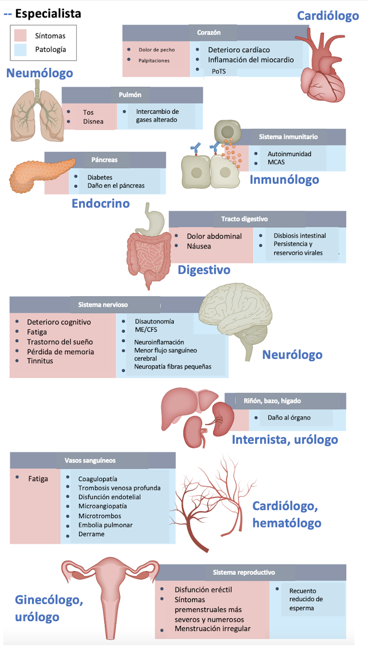 La resaca del Covid: por qué hay tantos pacientes que no se recuperan del todo 1 La resaca del Covid: por qué hay tantos pacientes que no se recuperan del todo