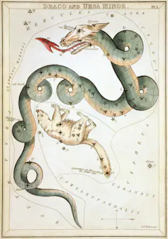 Dibujo de una serpiente-dragón enrollada sobre sí misma y rodeando a un oso.