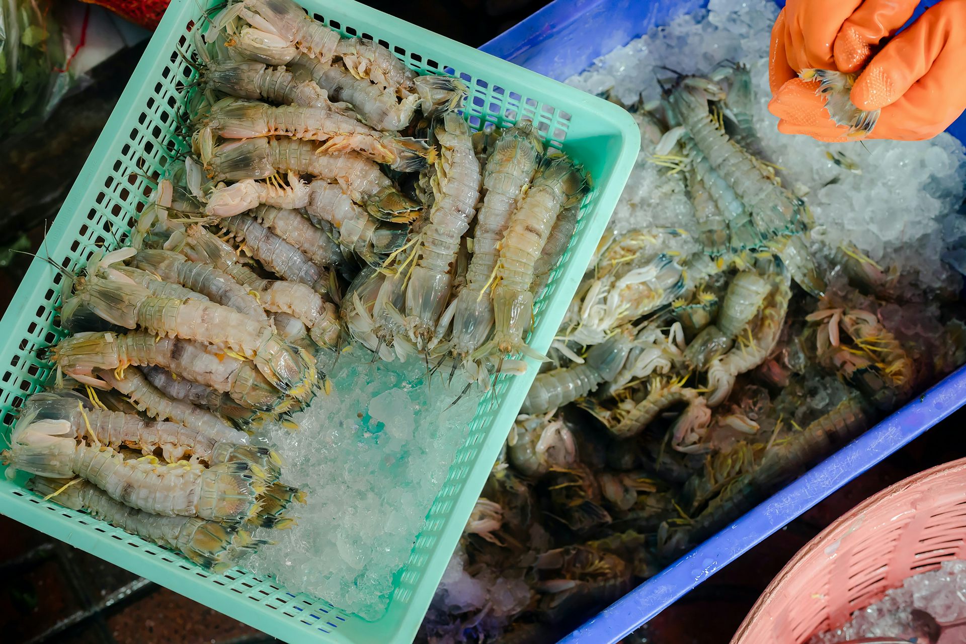 Photos de bacs en plastique contenant des crevettes