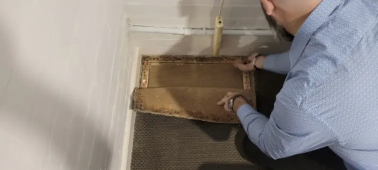Carpet is pulled back to reveal mould.