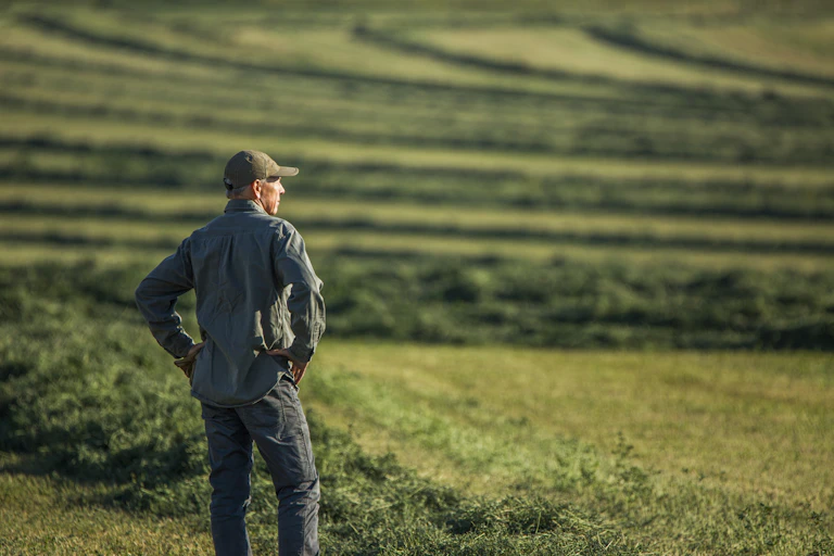A farmer who appears to be in his sixties stands in a field with his hands on his hips, surveying his crops. He is wearing jeans, a denim-coloured long-sleeved shirt, and a green baseball cap.