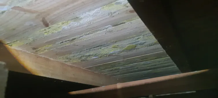The underside of timber flooring is worth checking for mould.