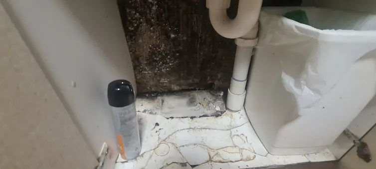 Mould is shown inside a vanity cabinet.