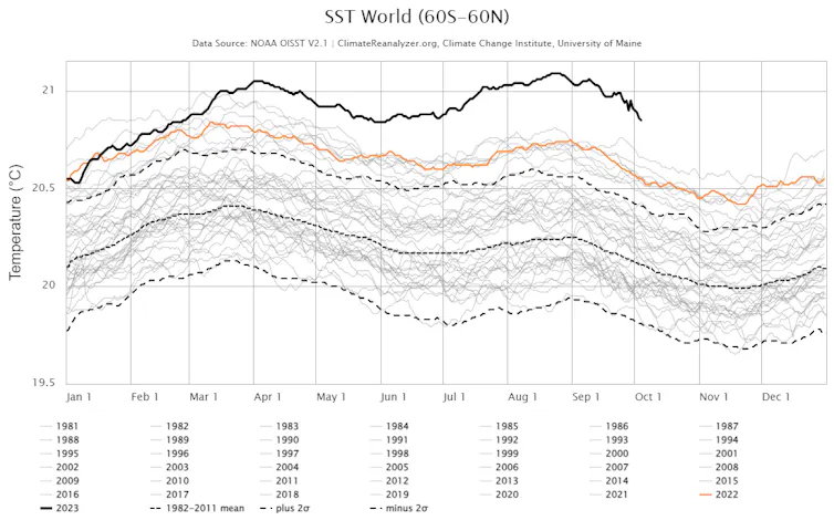 A line chart shows sea surface temperatures by year since 1981.The 2023 line is far above the others.