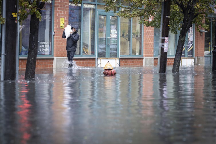 A person carries a sandbag on their shoulder while walking through shin-high water past businesses in the rain. A fire hydrant is almost submerged in the flood water.