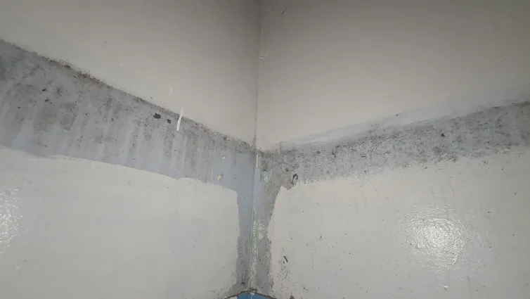 Mould is seen in unpainted areas on a wall.