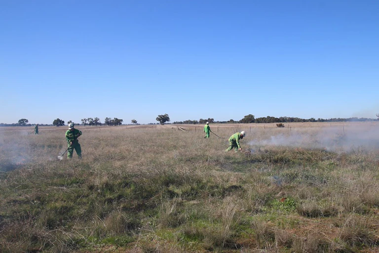 Dja Dja Wurrung traditional owners undertake a cultural burn in Tang Tang swamp, Victoria.
