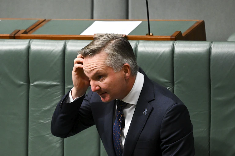 Minister for Climate Change and Energy, Chris Bowen, in Parliament.