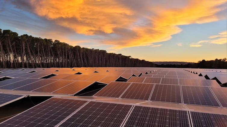 A partly cloudy sky and a line of trees behind a huge array of solar panels