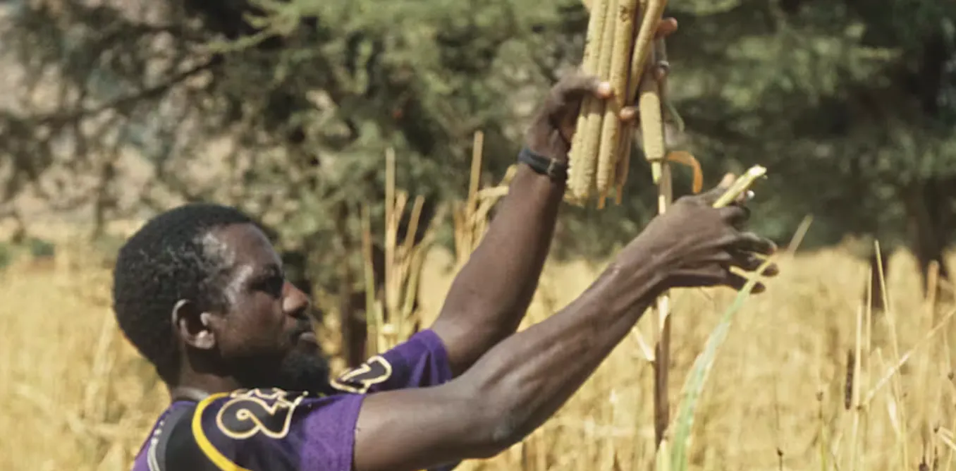 Réconcilier engrais minéraux et agroécologie, une piste pour nourrir les populations d’Afrique de l’Ouest Réconcilier engrais minéraux et agroécologie, une piste pour nourrir les populations d’Afrique de l’Ouest