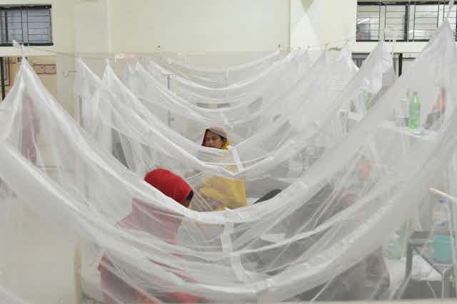 Dengue patients receive treatment inside mosquito nets at a hospital in Dhaka, Bangladesh