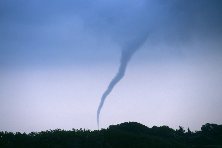 Tornado over treetops in low light