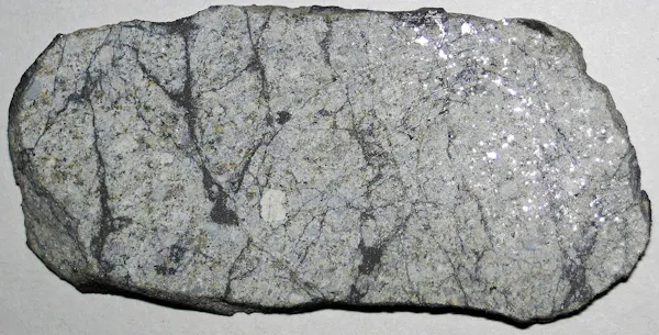 Un meteorito que parece una larga roca gris con vetas de color gris oscuro atravesándola.