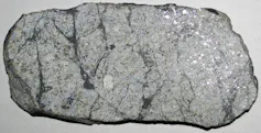 A meteorite that looks like a long gray rock with dark gray veins running across it.