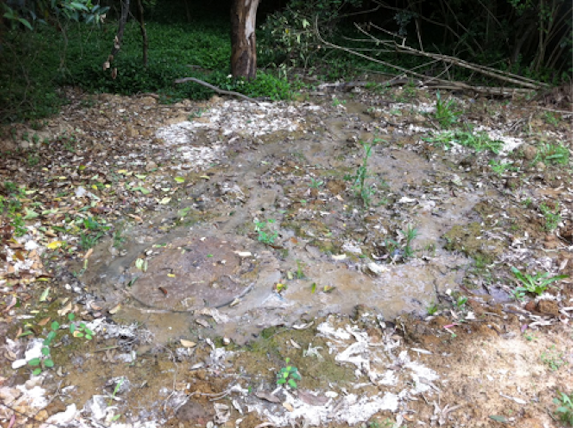 Popping the pipe how sewage gets out into the environment