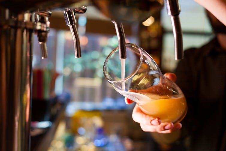 A bartender pouring a pint.