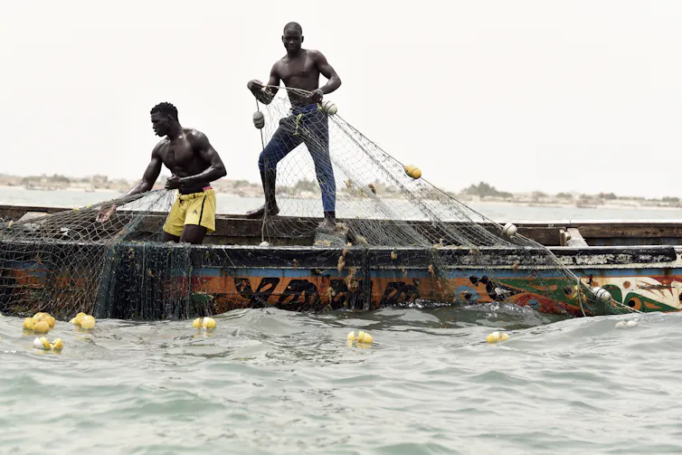Deux hommes, le torse nu, tirent leurs filets de pêche
