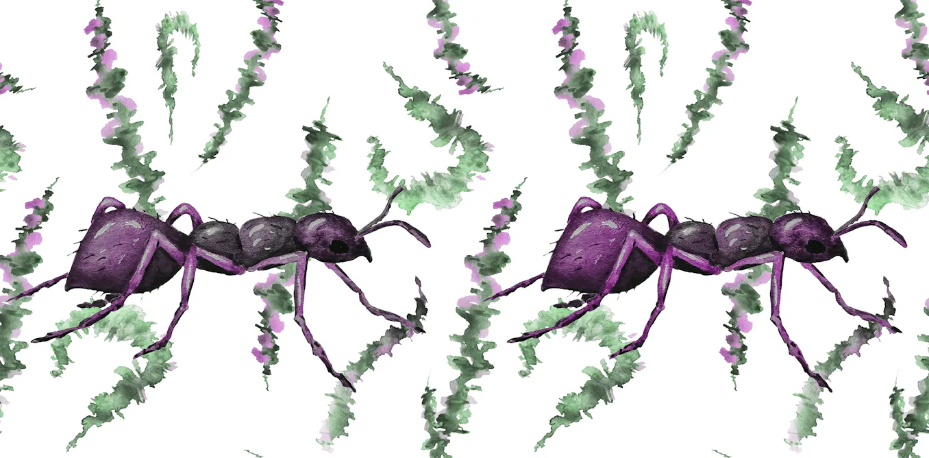 Les animaux et les plantes peuvent-ils s’entraider ? Les animaux et les plantes peuvent-ils s’entraider ?