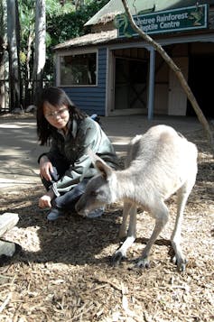 australian tourism in china