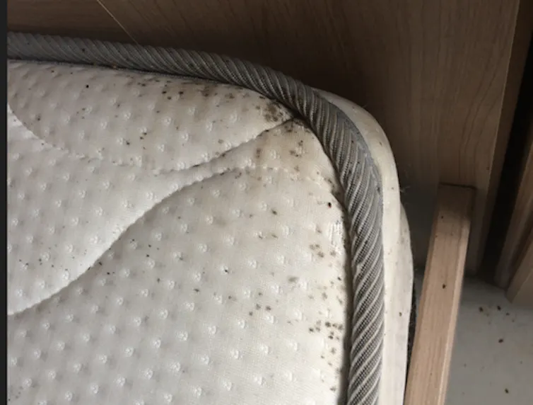 Le coin d’un matelas blanc comporte de multiples petites taches noires.