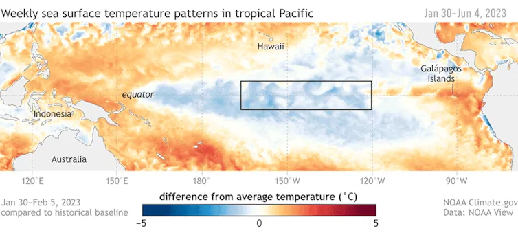 An animation shows how warm water builds up along the equator off South America. The box where temperatures are measured is south of Hawaii.