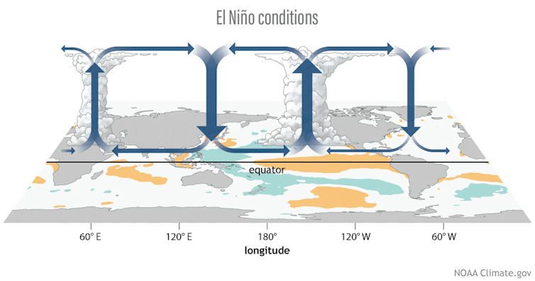 An animation shows the differences in the atmosphere between El Niño and La Niña. Stormy conditions that are typically over the warm pool in the west shift toward the central Pacific. Arrows shows atmospheric circulation.