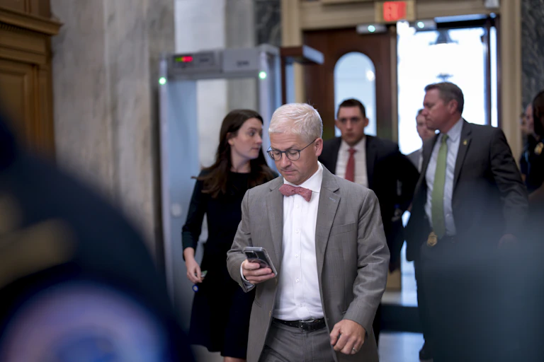 A man in a suit and bow tie looks at his phone.