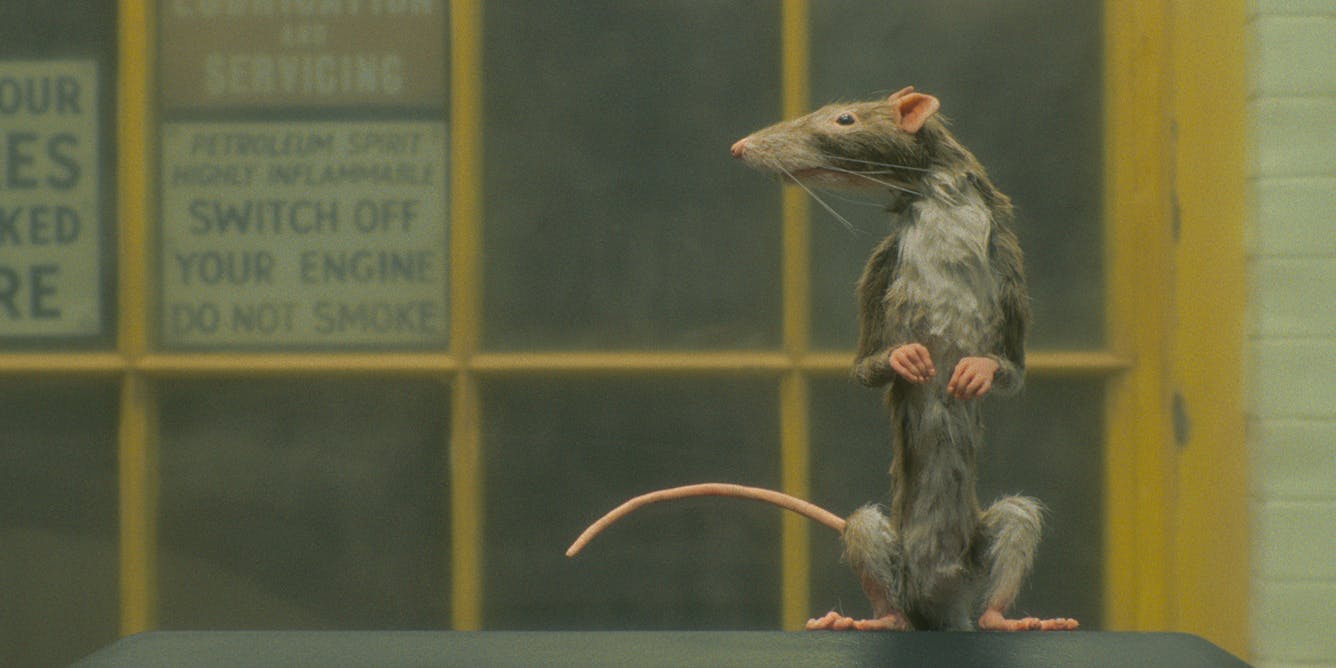 Watch The Rat Catcher  Netflix Official Site