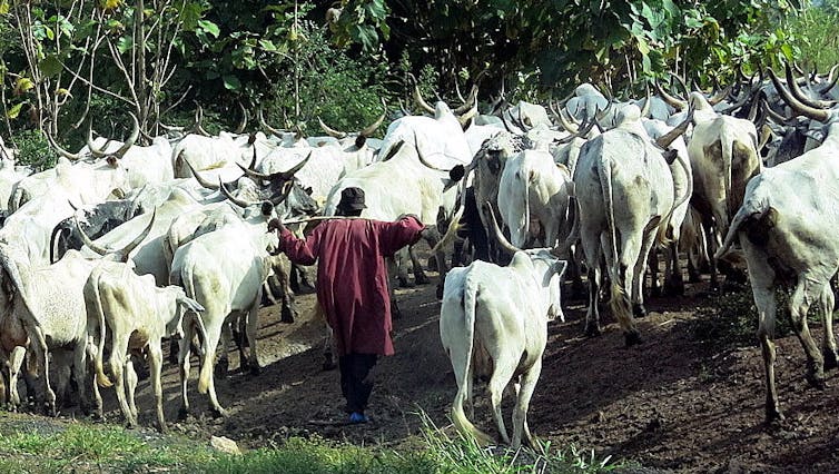 Fulani herdsman in Togo.