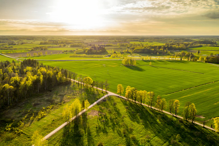 Aerial view of fields