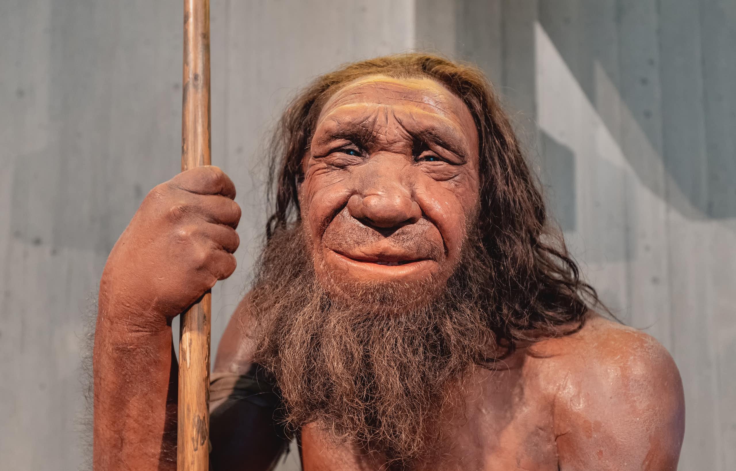 A depiction of a Neanderthal man. 