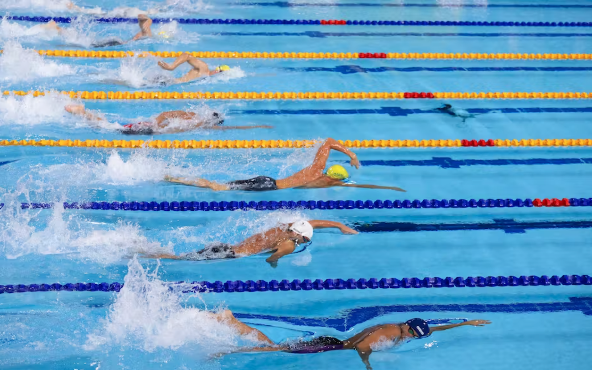nageurs dans une piscine