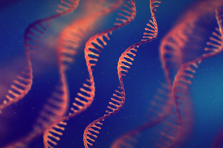 An illustration of single strand RNA molecules.
