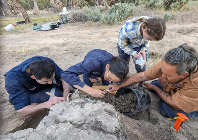 A group of people closely inspecting bones and soil in the Australian outback