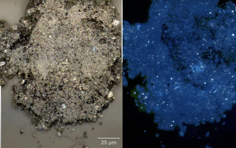 Tiny grain from Bennu sample.