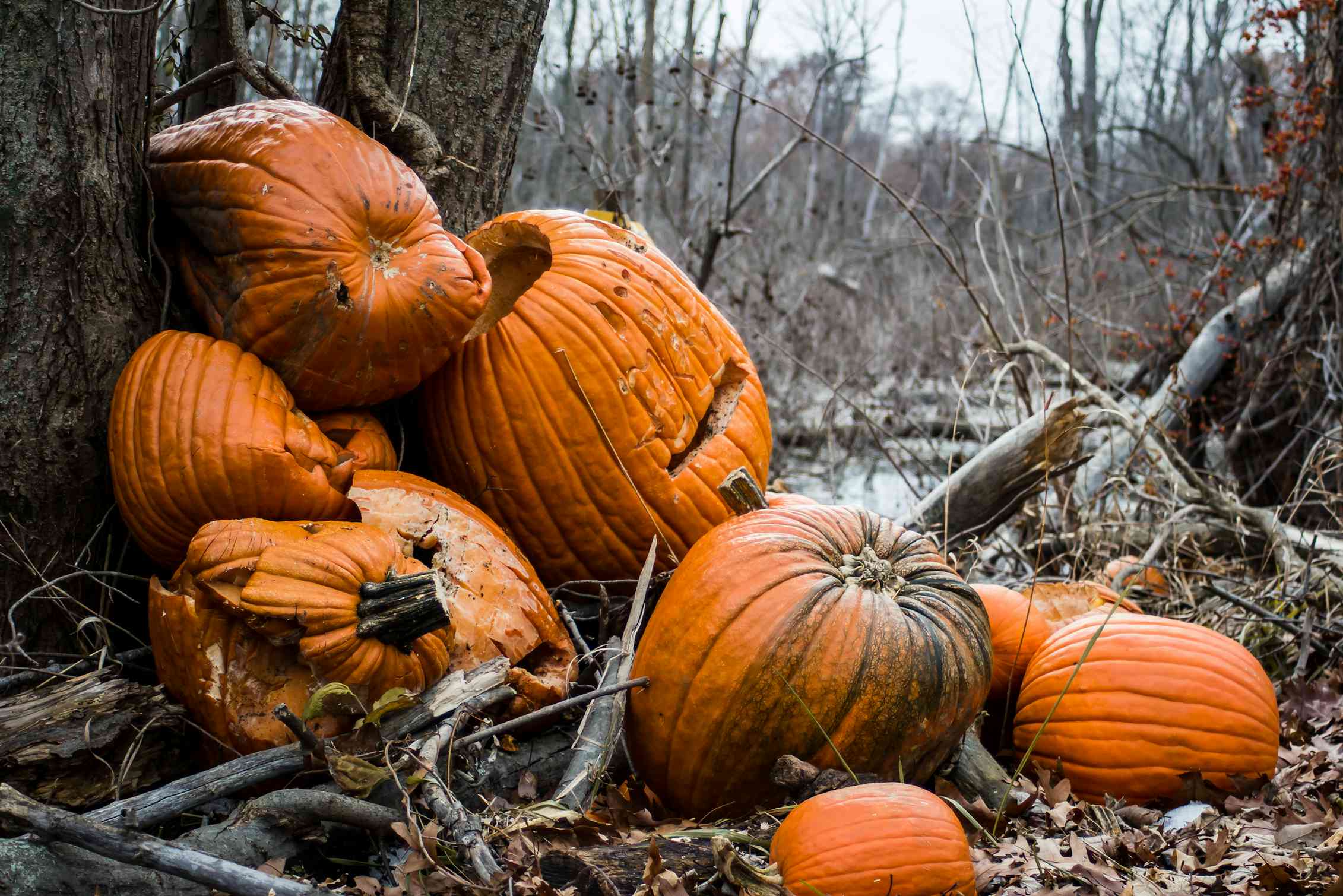 Five tips for a sustainable Halloween