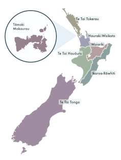 Questa mappa mostra i confini dei distretti elettorali Maori
