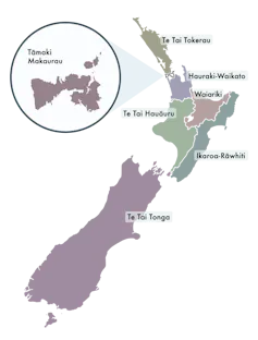 This map shows the boundaries of Māori electorates